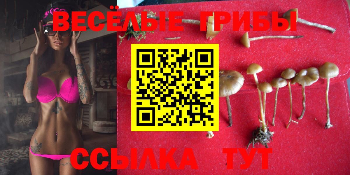 Галлюциногенные грибы прущие грибы  Вход с VPN  Зима 