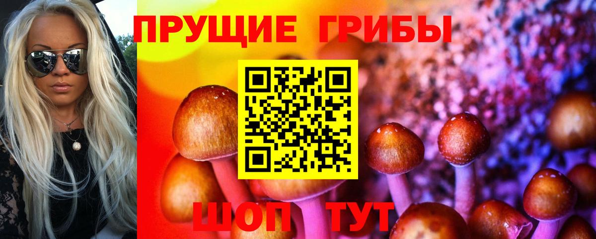 Галлюциногенные грибы GOLDEN TEACHER Зима