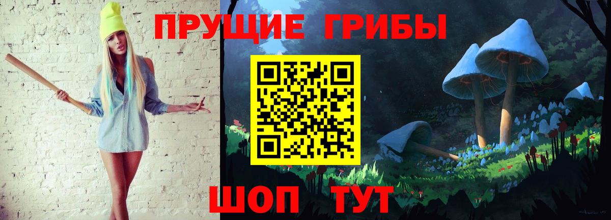 Бошки Шишки Зима